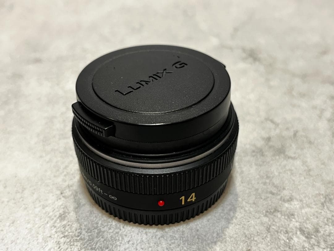 LUMIX GX8 レンズ2本セット