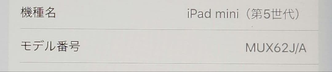 Apple iPad mini 第5世代 Wi-Fi+Cellular au版