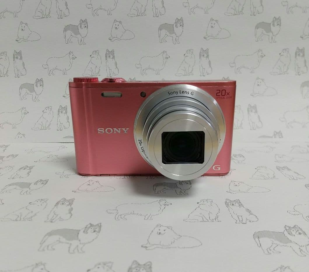 【RS77】SONY Cyber-shot DSC-ｗｘ350 デジカメ 本体