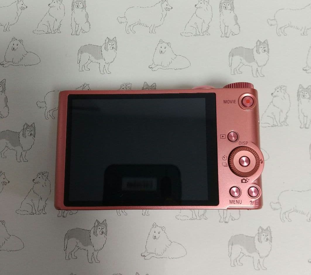 【RS77】SONY Cyber-shot DSC-ｗｘ350 デジカメ 本体