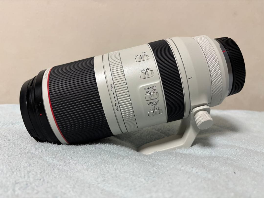 【値下げ不可】Canon RF100-500 F4.5-7.1 L IS USM