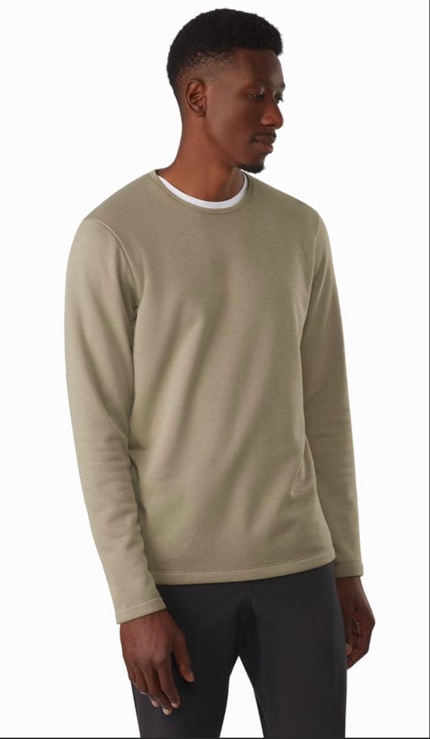 アークテリクス　ダレンフリースプルオーバー　メンズM ベージュ　dallen