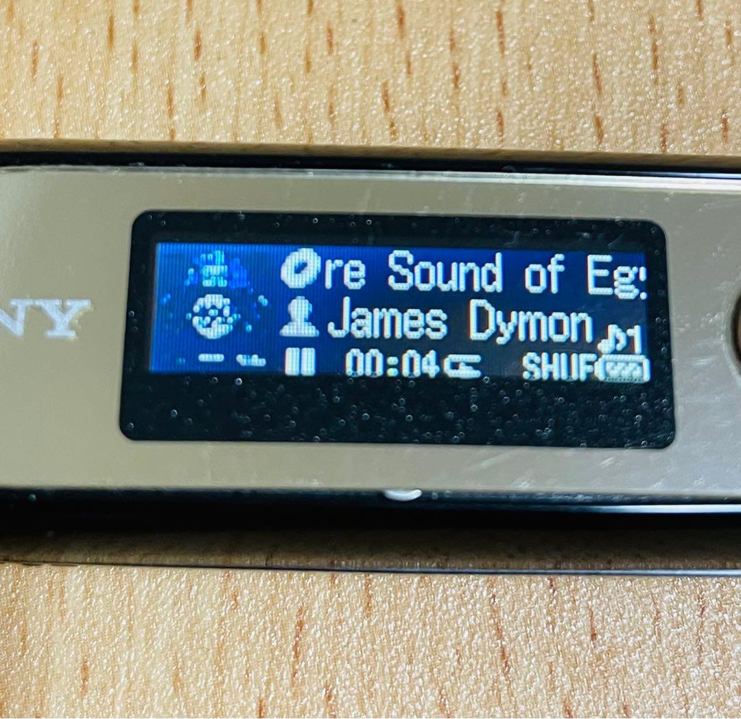 【動作品】SONY NW-E044 8GB ソニー ウォークマン WALKMAN