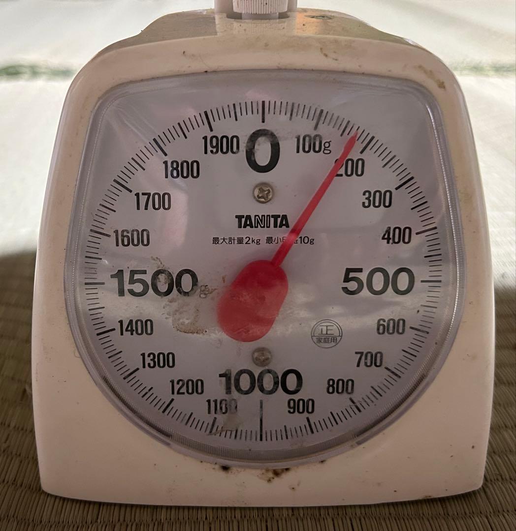 ☆信州産松茸☆今現在約170グラム☆まつたけ☆クール便送料着払い☆国産松茸☆J☆