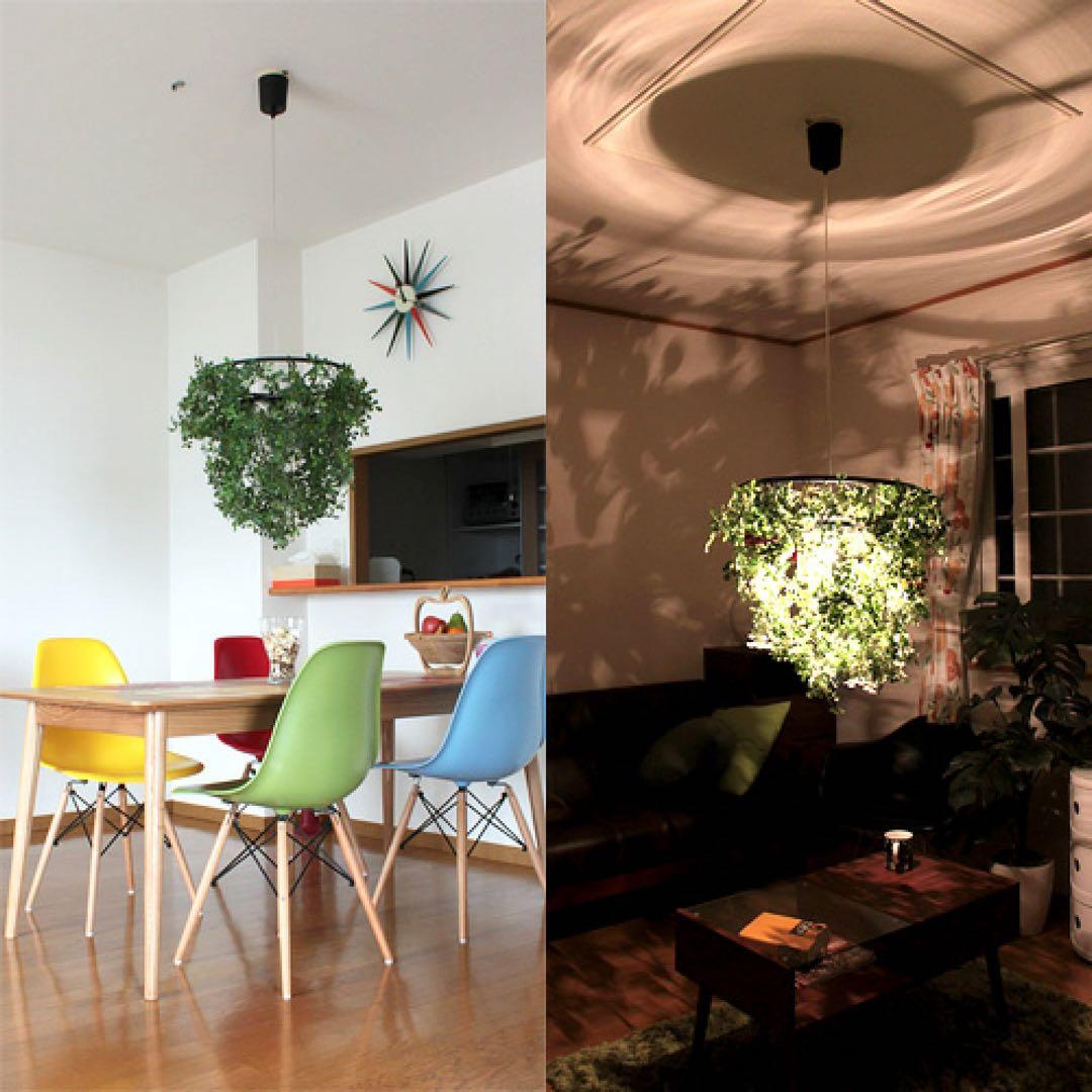 【新品】Mini Foresti ペンダントランプ DI CLASSE