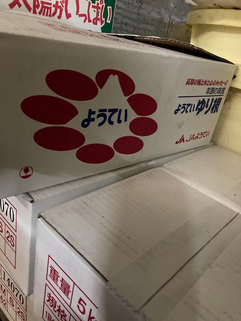 新鮮 ゆり根 百合根　ゆりね 北海道産 ２Lサイズ33個5kg