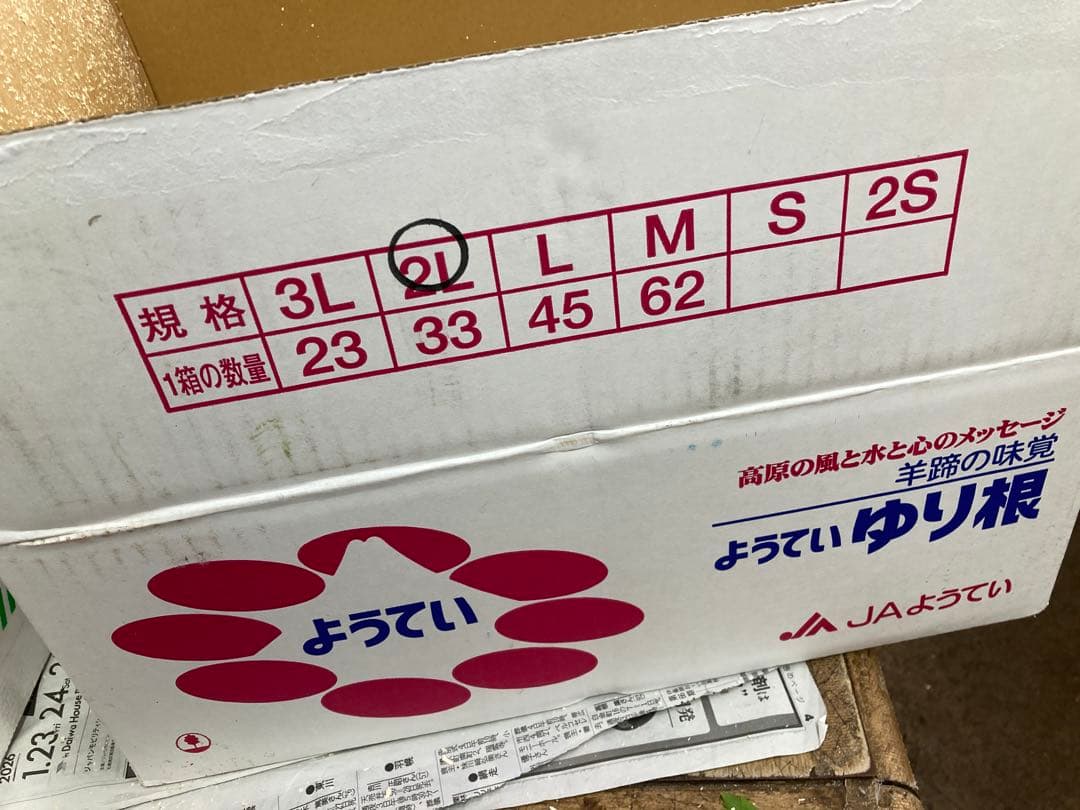 新鮮 ゆり根 百合根　ゆりね 北海道産 ２Lサイズ33個5kg