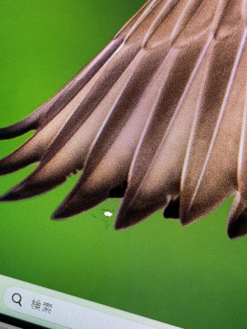 7025J★GD242TCAB★NEC一体型PC★7代Core i3★Win11