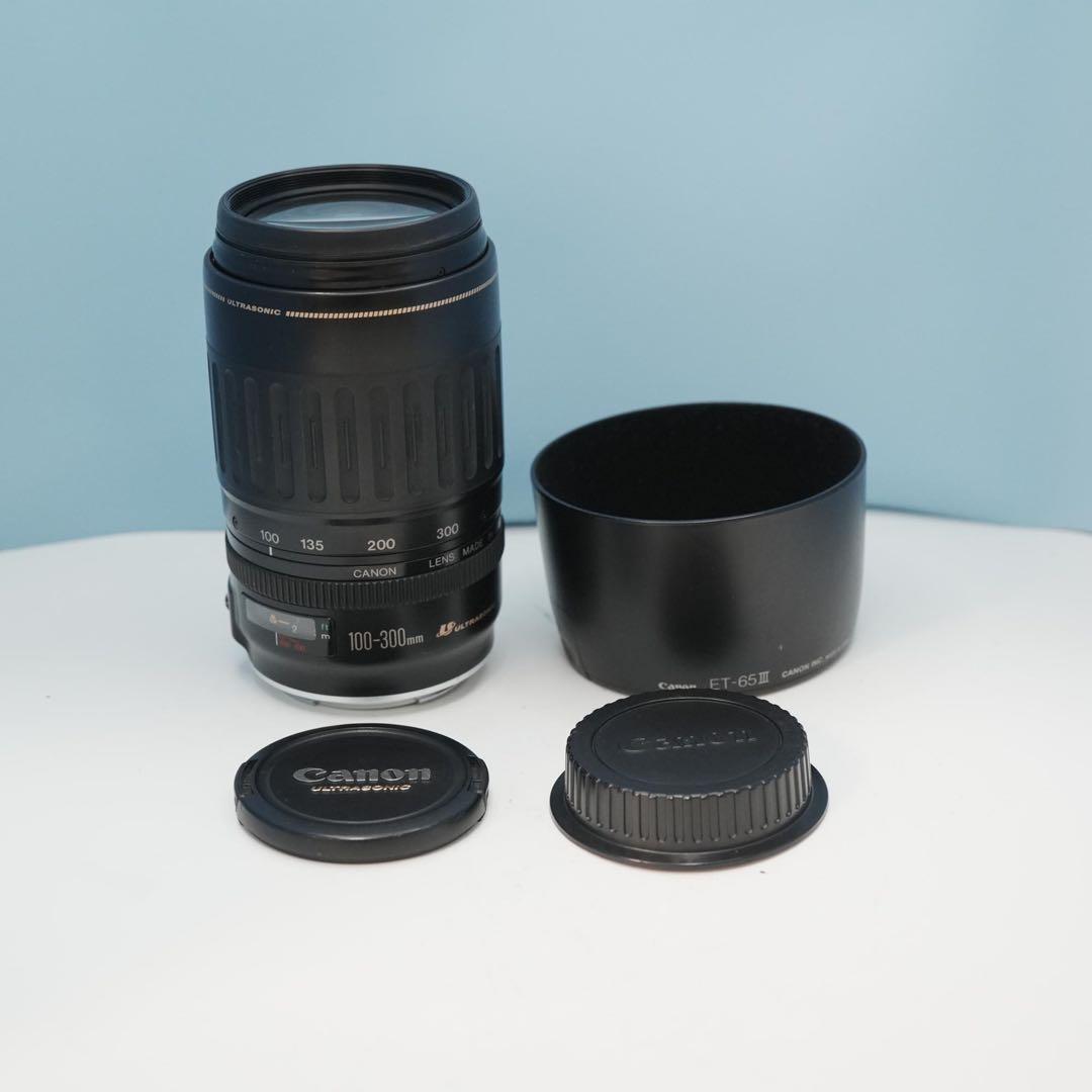 Canon純正 100-300mm 望遠レンズ a4658