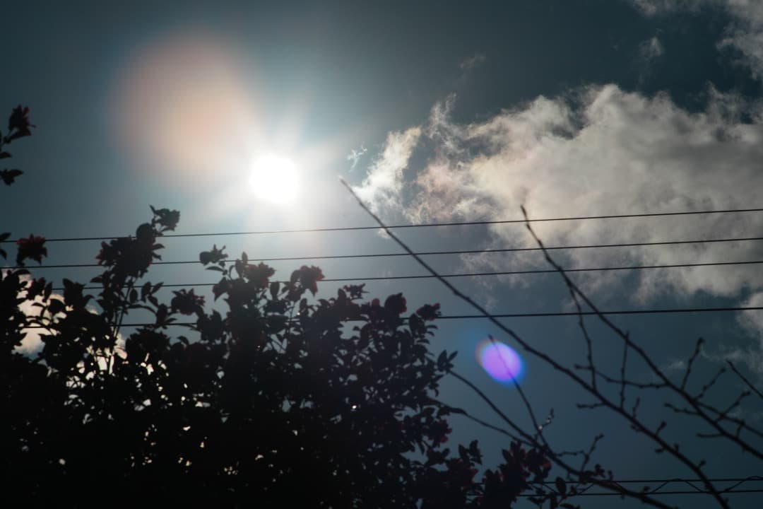 【整備テスト】オリンパス Zuiko Auto-T 135mm F2.8 448