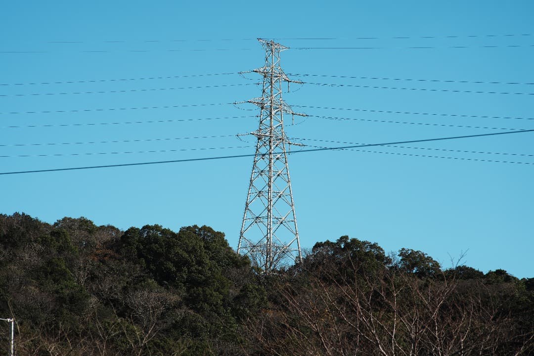 【整備テスト】オリンパス Zuiko Auto-T 135mm F2.8 448
