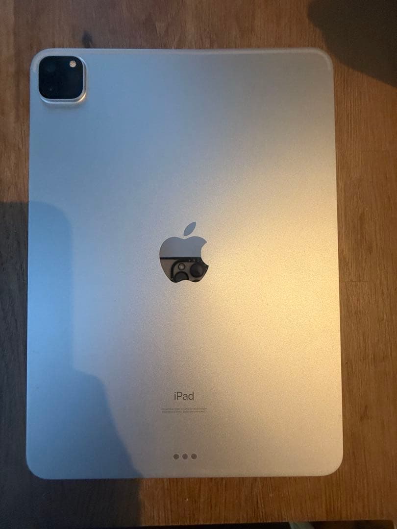 iPad Pro 11インチ 第2世代 256GB Apple