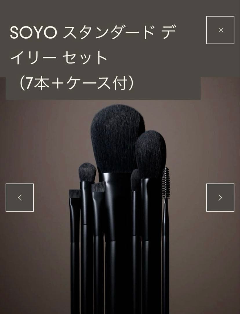 SOYO スタンダードデイリーセット (7本+ケース付)