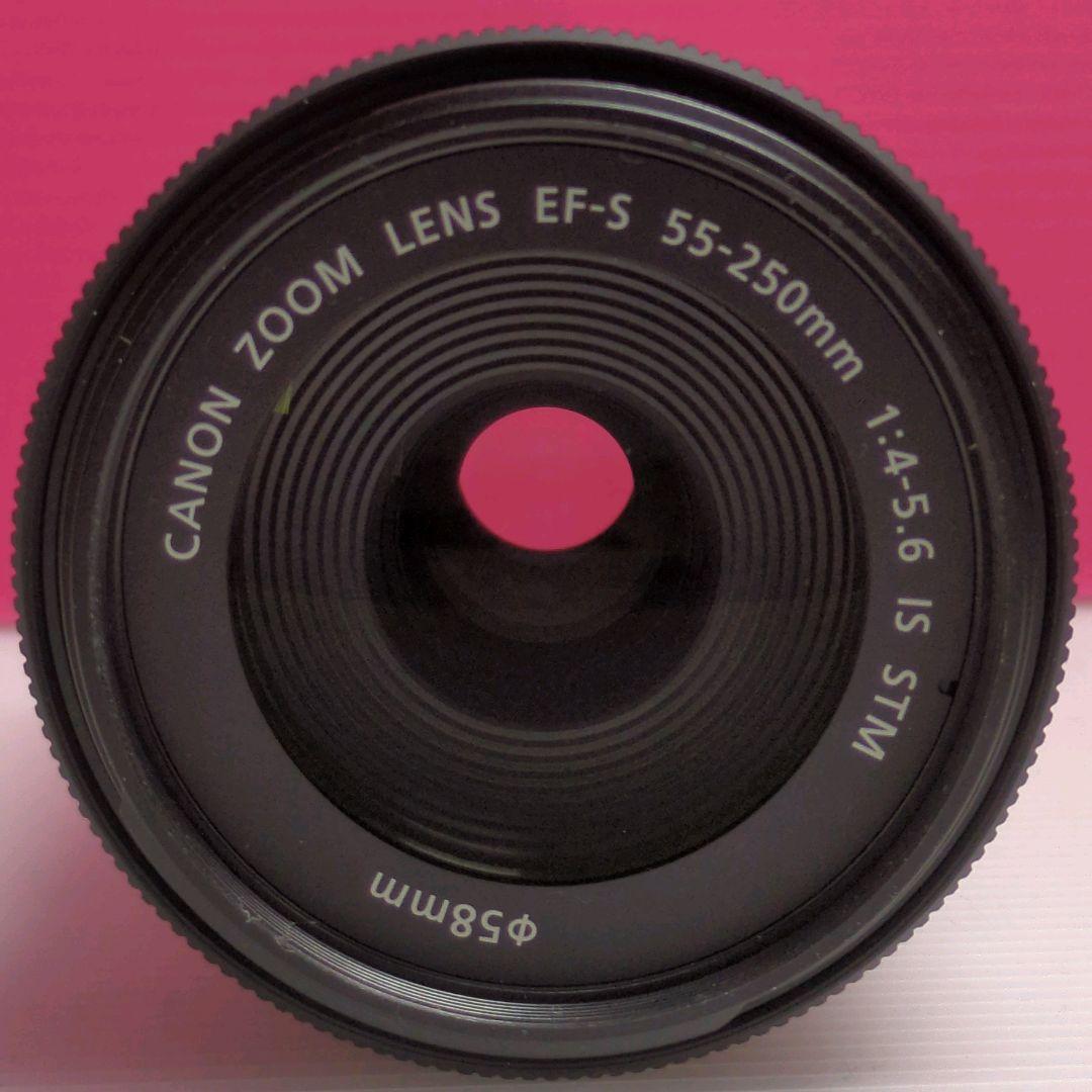 ★極美品★Canon EF-S 55-250mm F4-5.6 IS STM