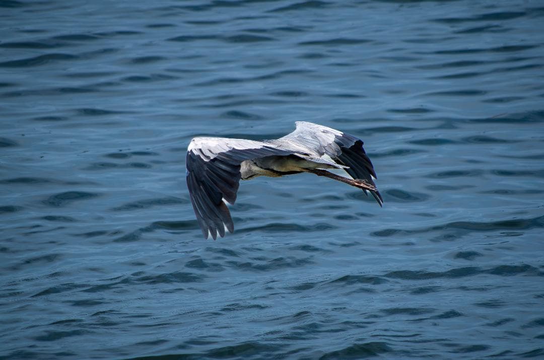 【ahiru_chan専用】ペンタックス　PENTAX K-30 黒