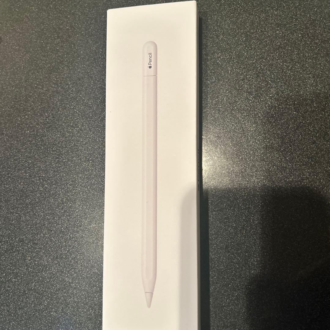 Apple Pencil USB-C アップルペンシルtypeC 純正品