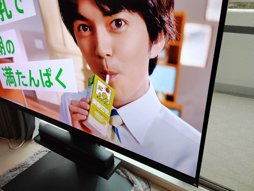 REGZA レクザ 有機ELテレビ 65X9900L 4K 東芝