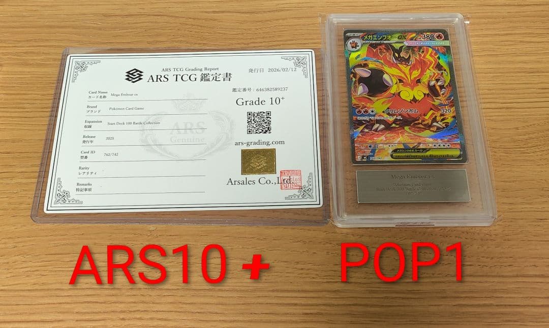 メガメガニウム　メガエンブオー　メガオーダイル　ARS10＋