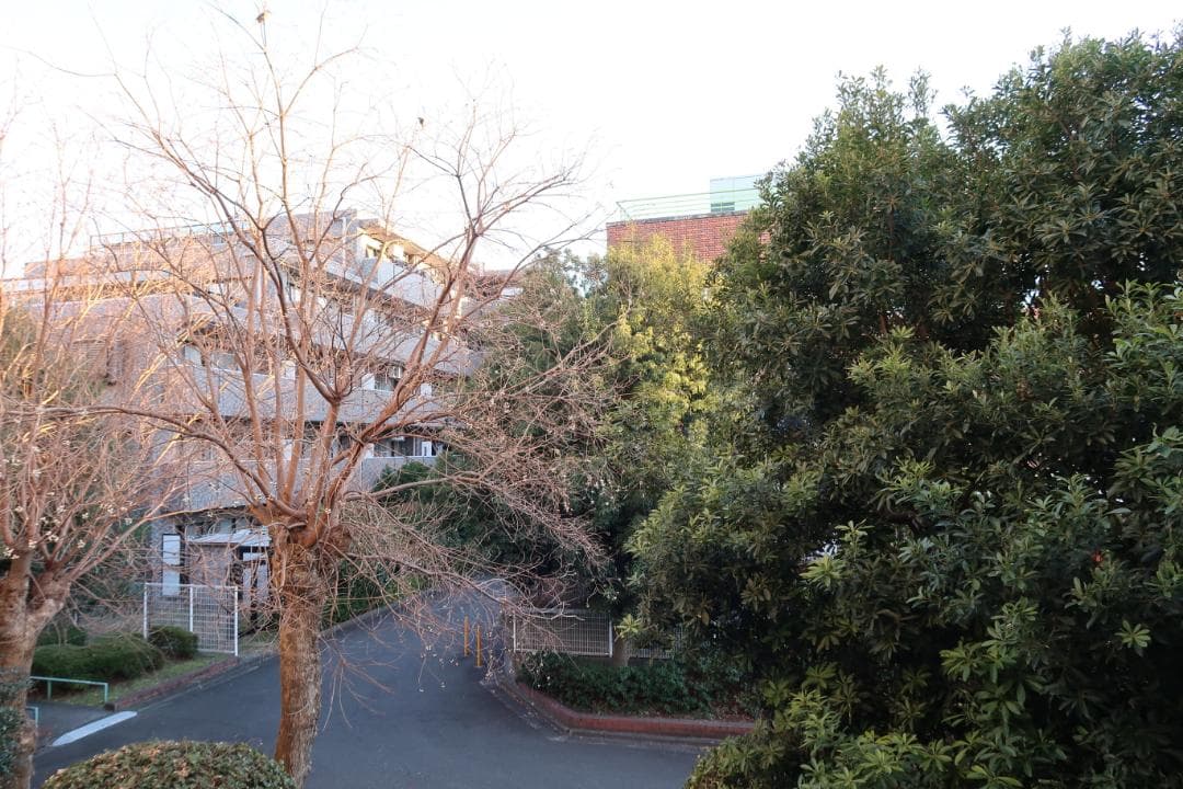 〓美品〓キヤノン Canon PowerShot G7 X Mark II