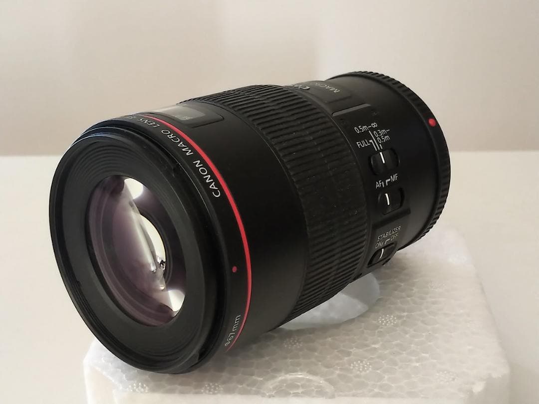 Canon EF100mm F2.8L Macro IS USM 室内使用のみ