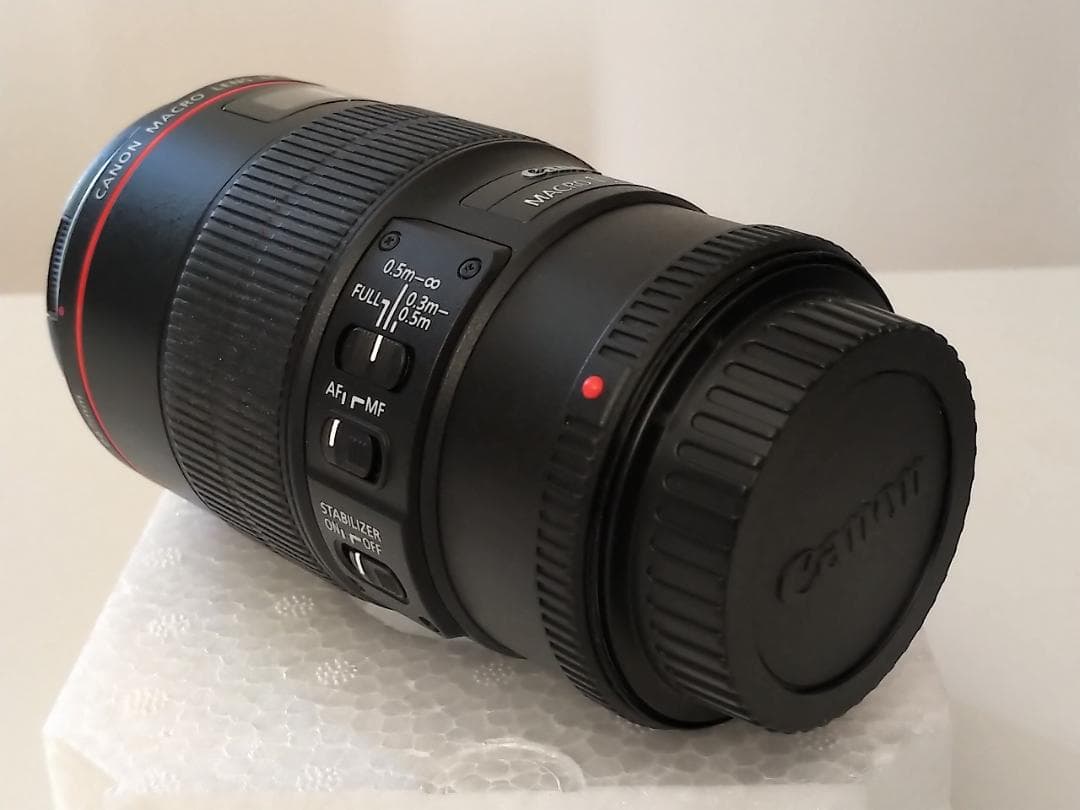 Canon EF100mm F2.8L Macro IS USM 室内使用のみ