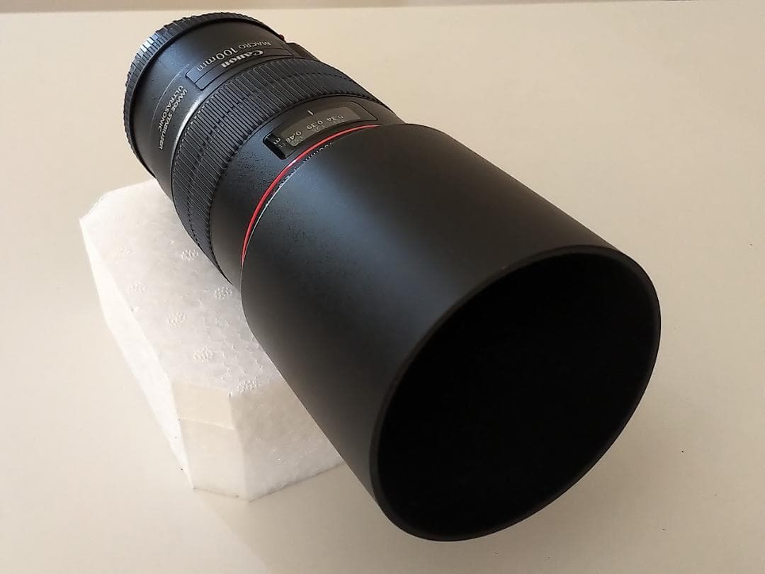 Canon EF100mm F2.8L Macro IS USM 室内使用のみ