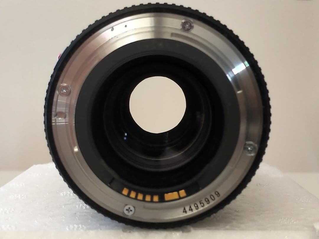 Canon EF100mm F2.8L Macro IS USM 室内使用のみ