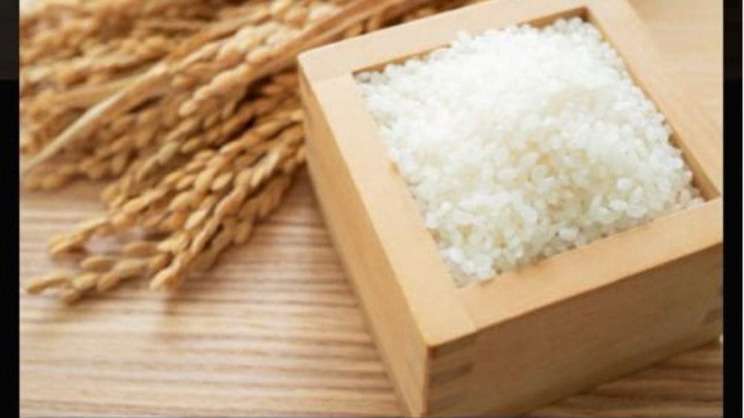 北海道産　ななつぼし　20kg