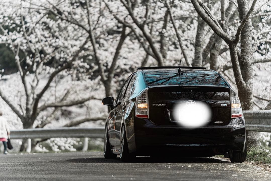 30プリウス キャンバープレート　3度【強化ボルト付き】