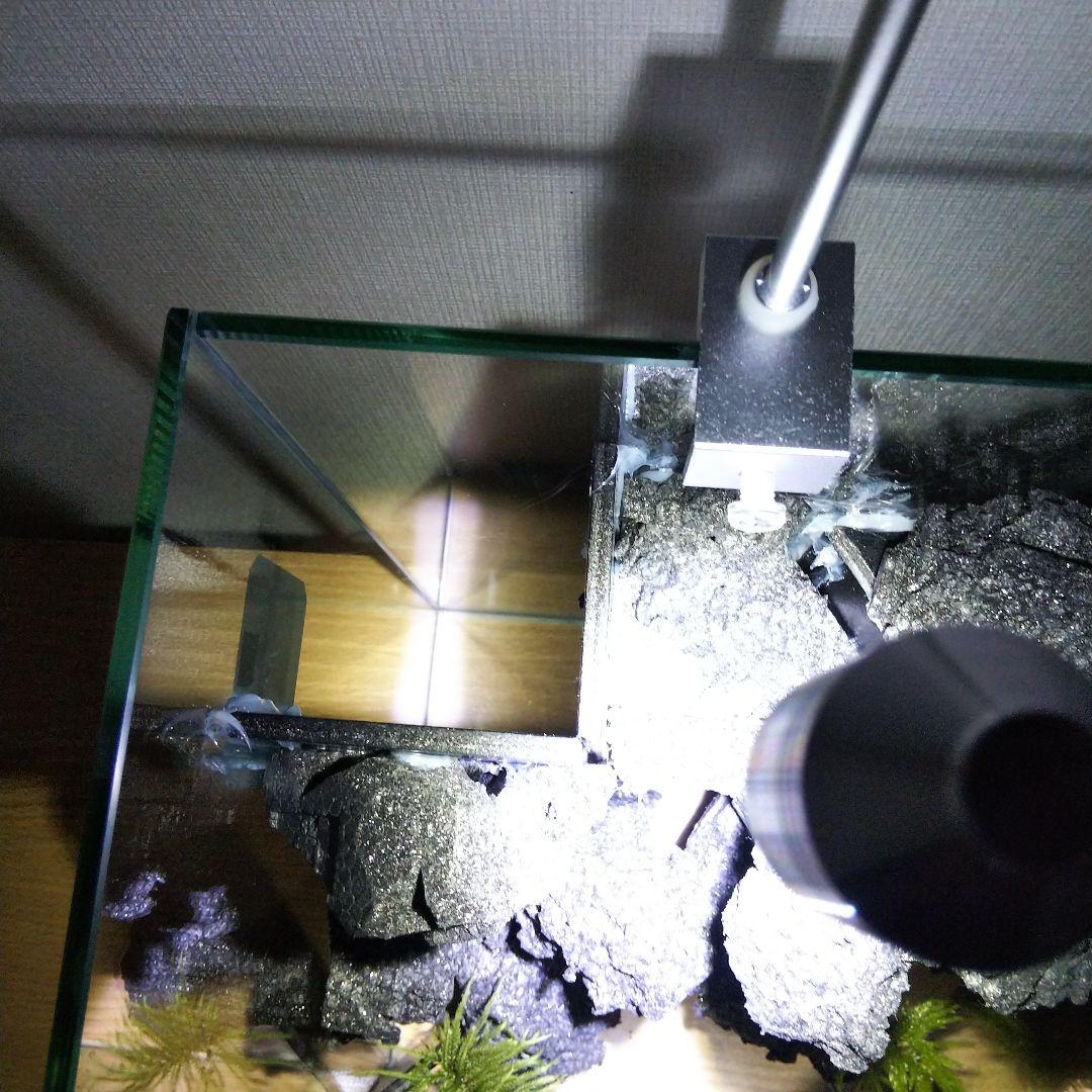 【完成品】滝の流れるアクアテラリウム　イモリウム　苔　　アクアテラリウム完成品