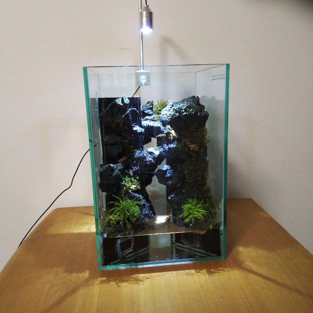 【完成品】滝の流れるアクアテラリウム　イモリウム　苔　　アクアテラリウム完成品