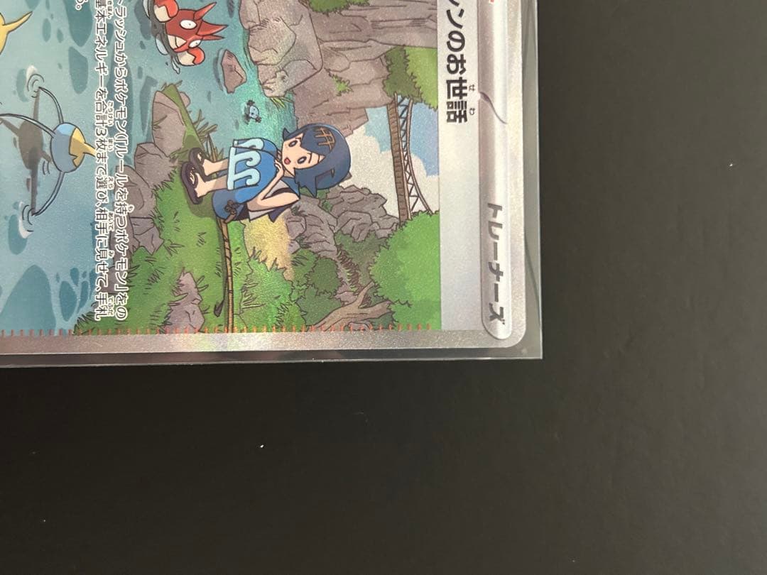 スイレンのお世話 sar 2枚