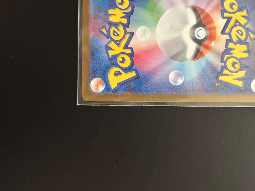 スイレンのお世話 sar 2枚