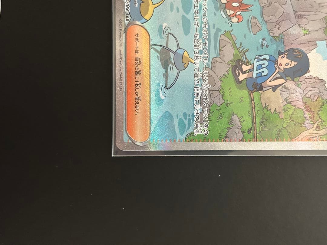 スイレンのお世話 sar 2枚