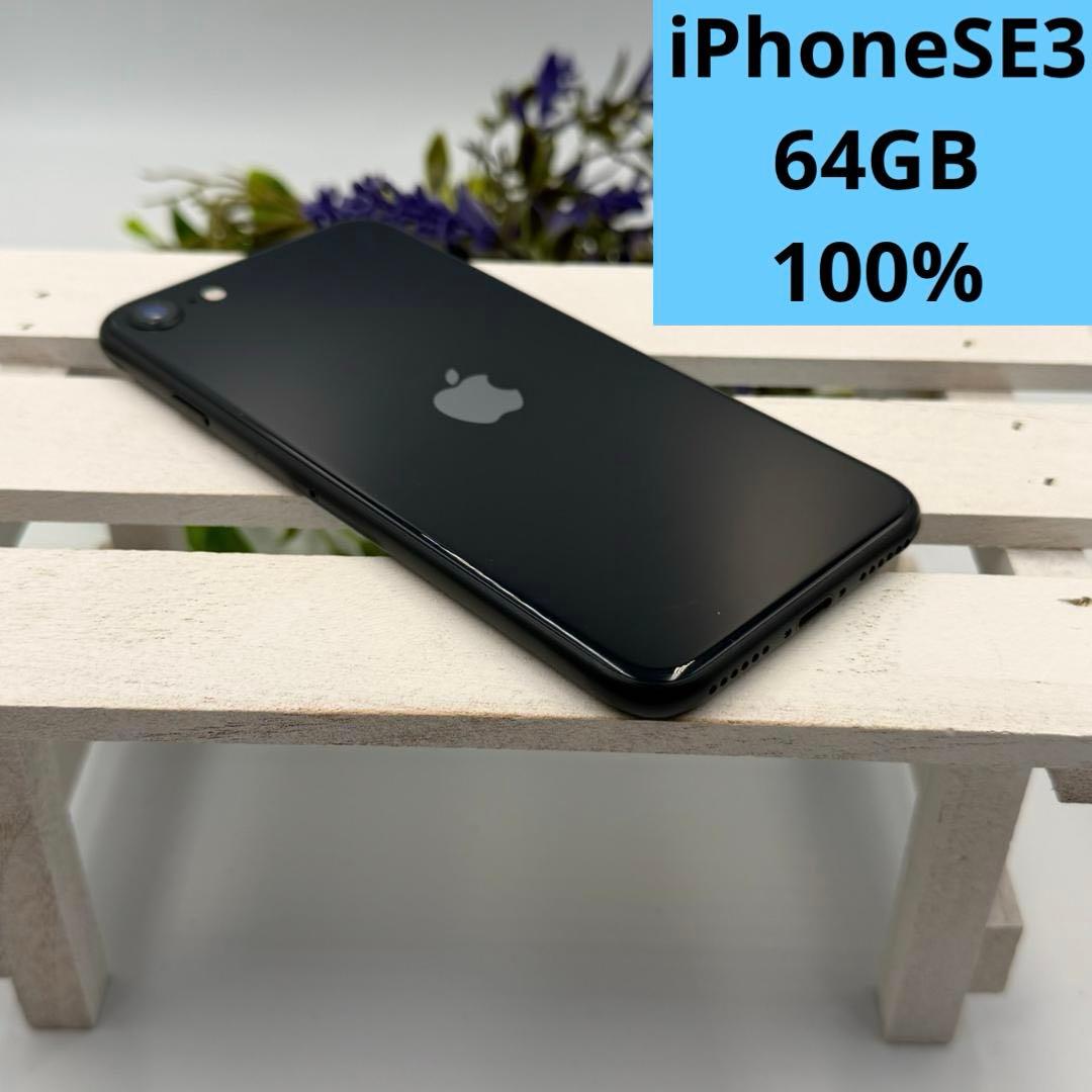 【美品】iPhone SE第3世代 64GB ミッドナイト 317