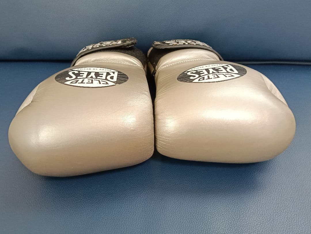 CLETO REYES プロフェッショナル ボクシンググローブ シルバー