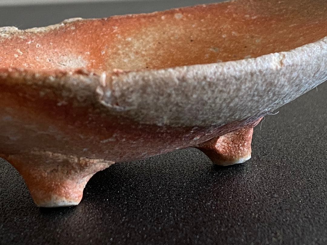 信楽焼　向付（６枚組）　古谷道生　　#2501