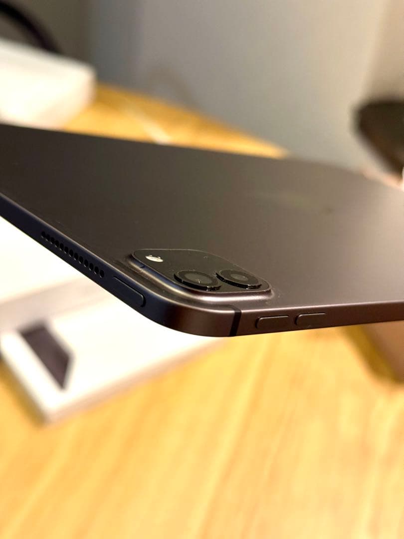 iPad Pro 11インチ (第2) 256GB WiFi+Cellular