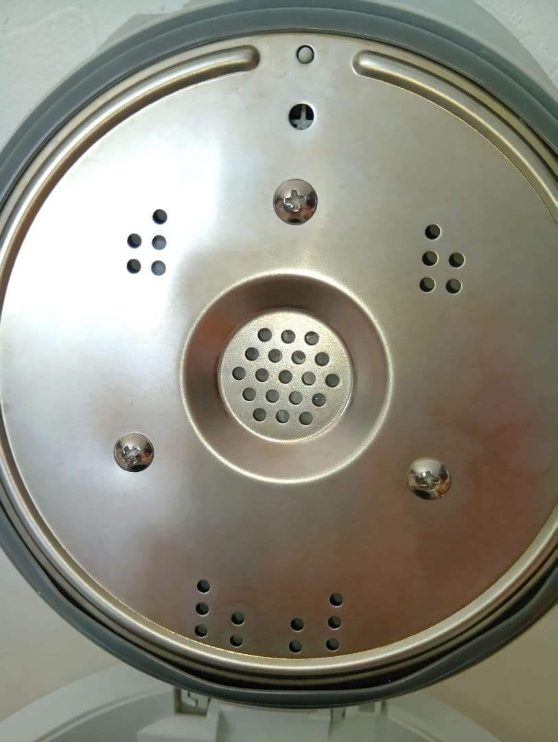 象印 スチーム式加湿器 4.0ℓ 2024年モデル 白 EE-DE50-WA