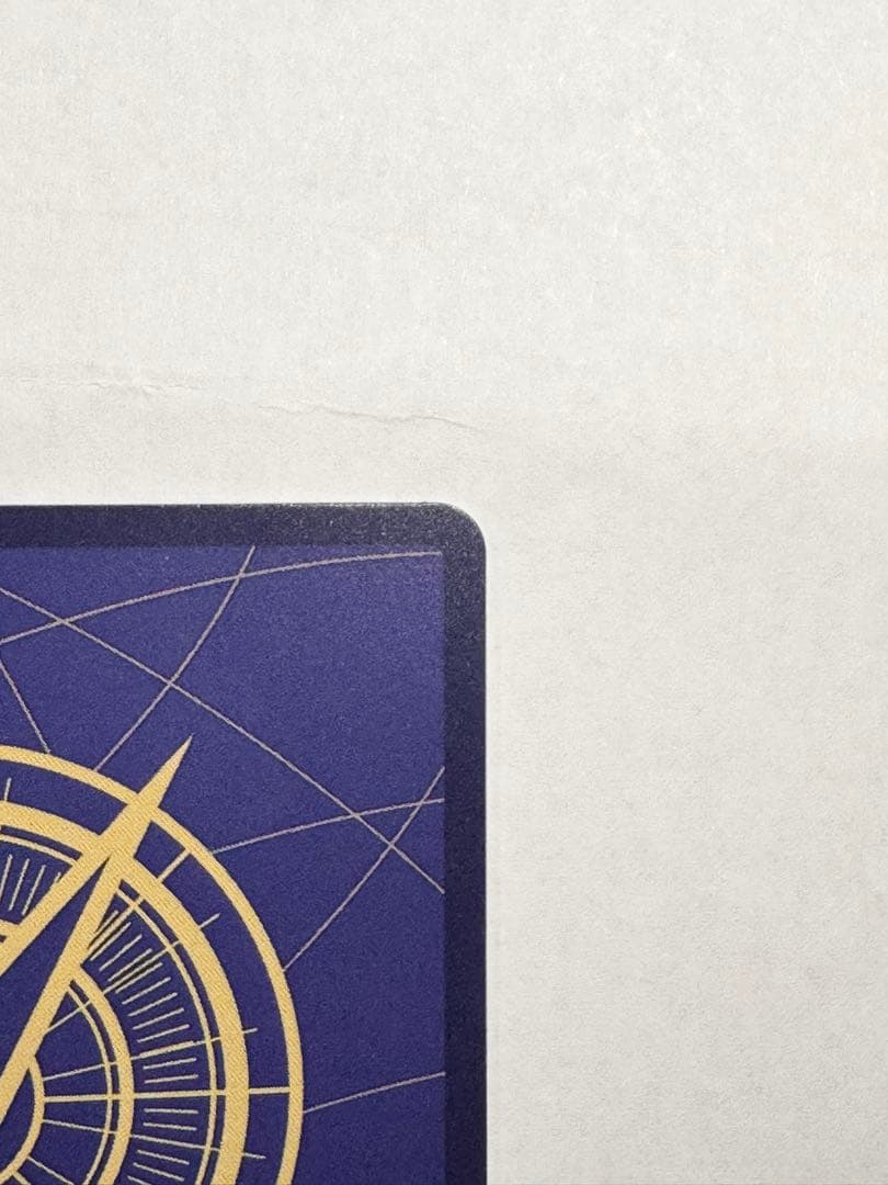 サボ 手配書SP パラレル ケース付き 即日発送