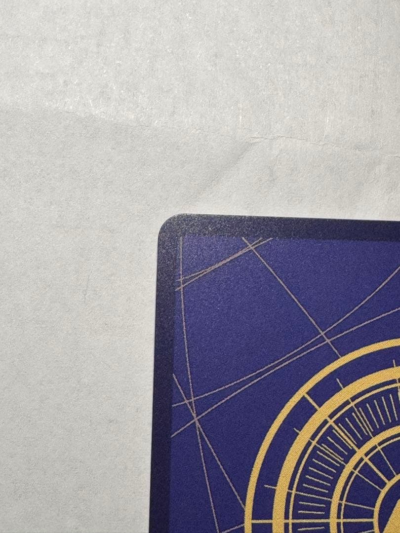 サボ 手配書SP パラレル ケース付き 即日発送