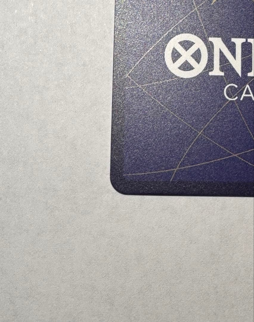 サボ 手配書SP パラレル ケース付き 即日発送