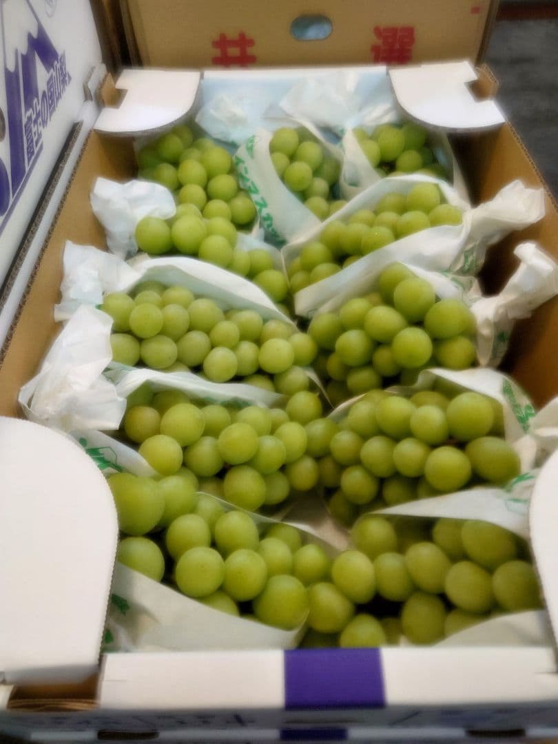 山梨県産　シャインマスカット１１房