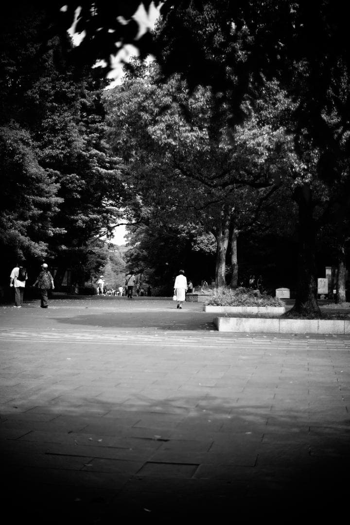 PO3-3M 50mm f2 伝説のシネレンズ スピードパンクロコピー ロシア製