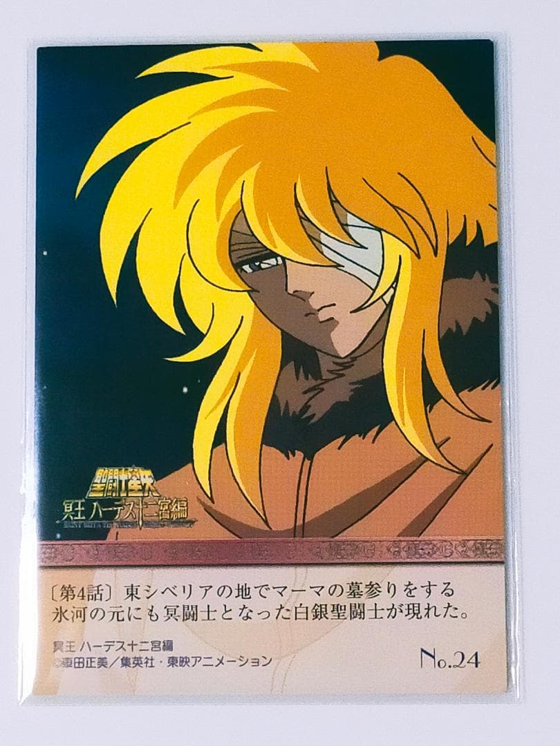 キグナス 氷河　カード　聖闘士星矢　冥王ハーデス十二宮編