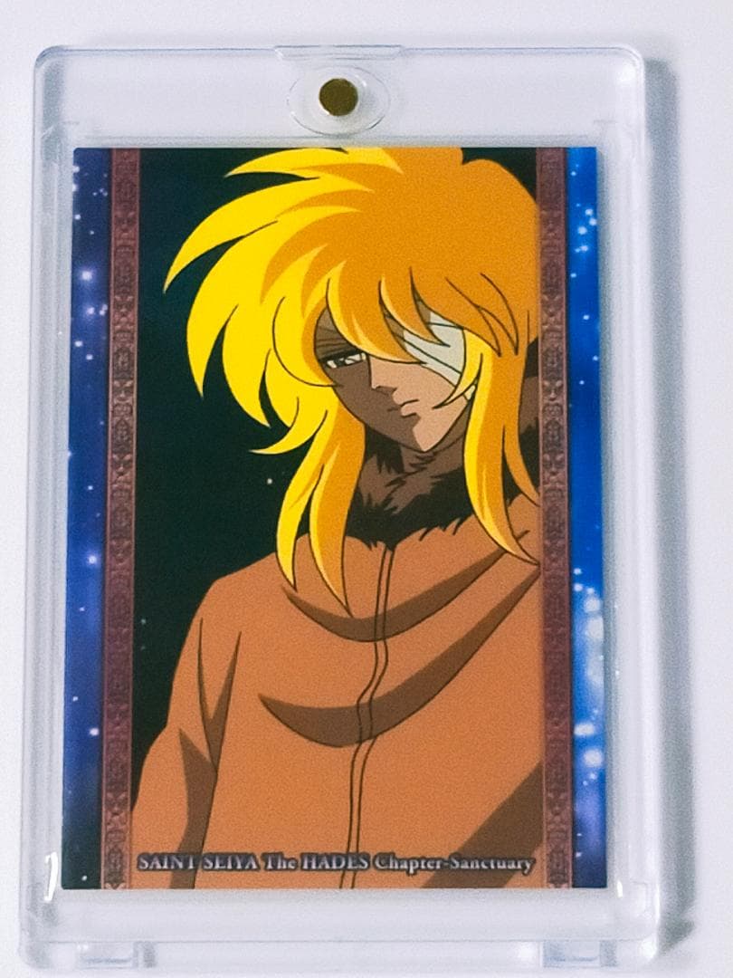 キグナス 氷河　カード　聖闘士星矢　冥王ハーデス十二宮編