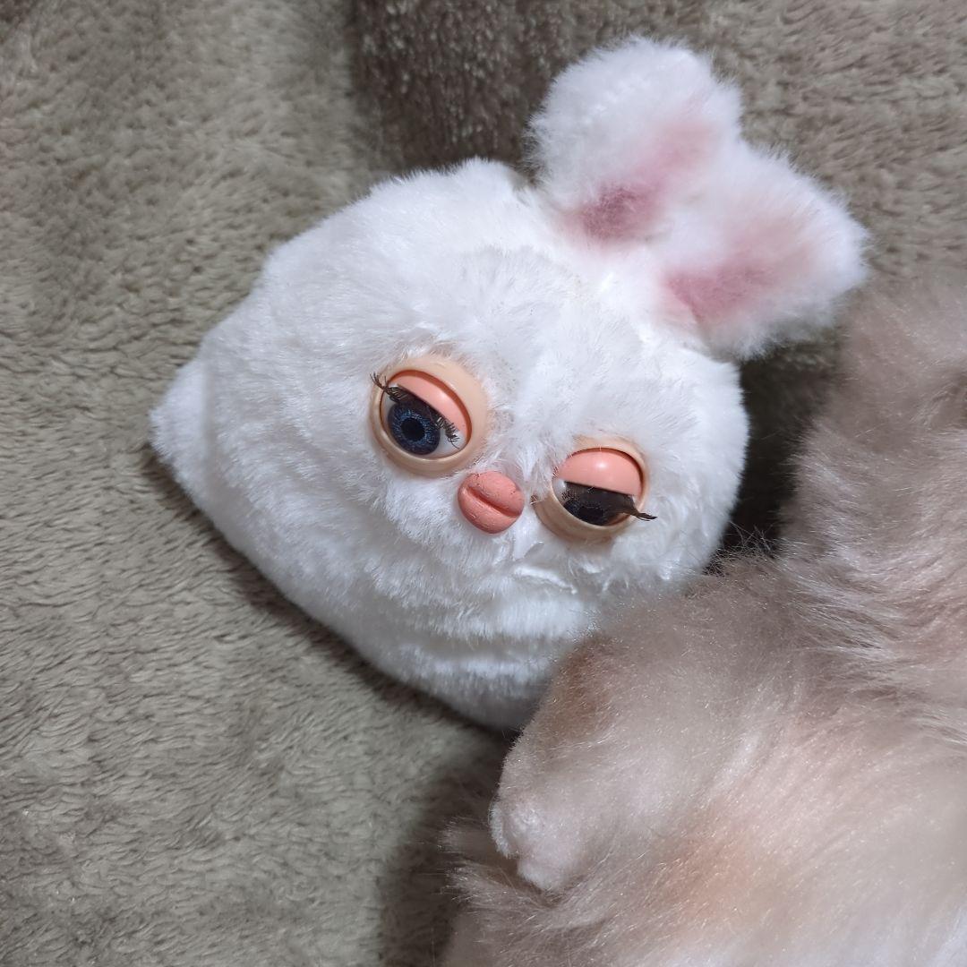 アートドール 作家 ぬいぐるみ 猫 セット ハンドメイド 国内 アーティスト