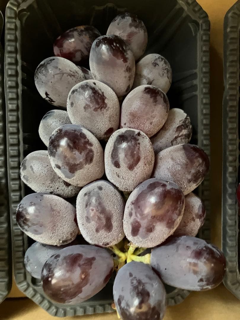 信州産クイーンルージュ・華鈴・ナイアガラ