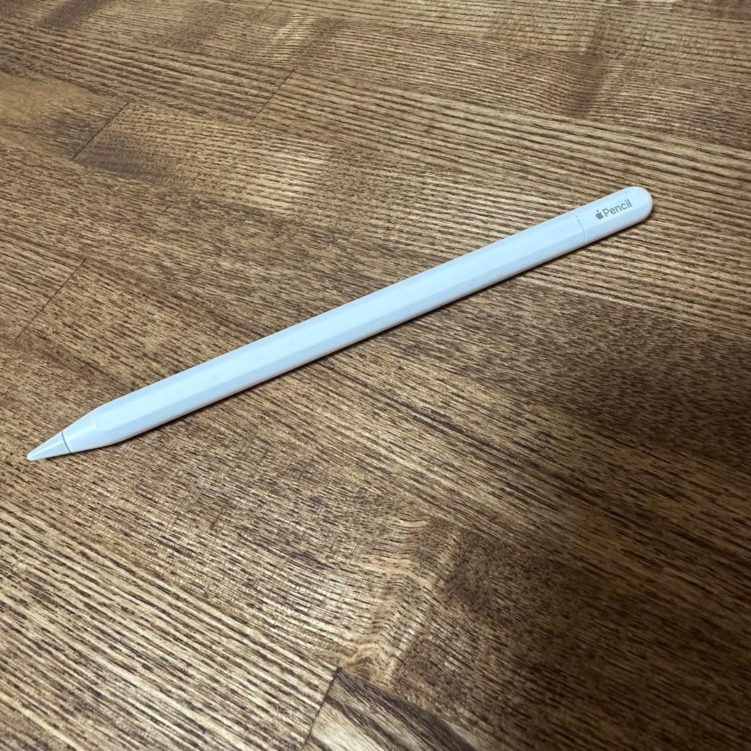 Apple pencil USB-c 本体のみ　アップル　ペンシル