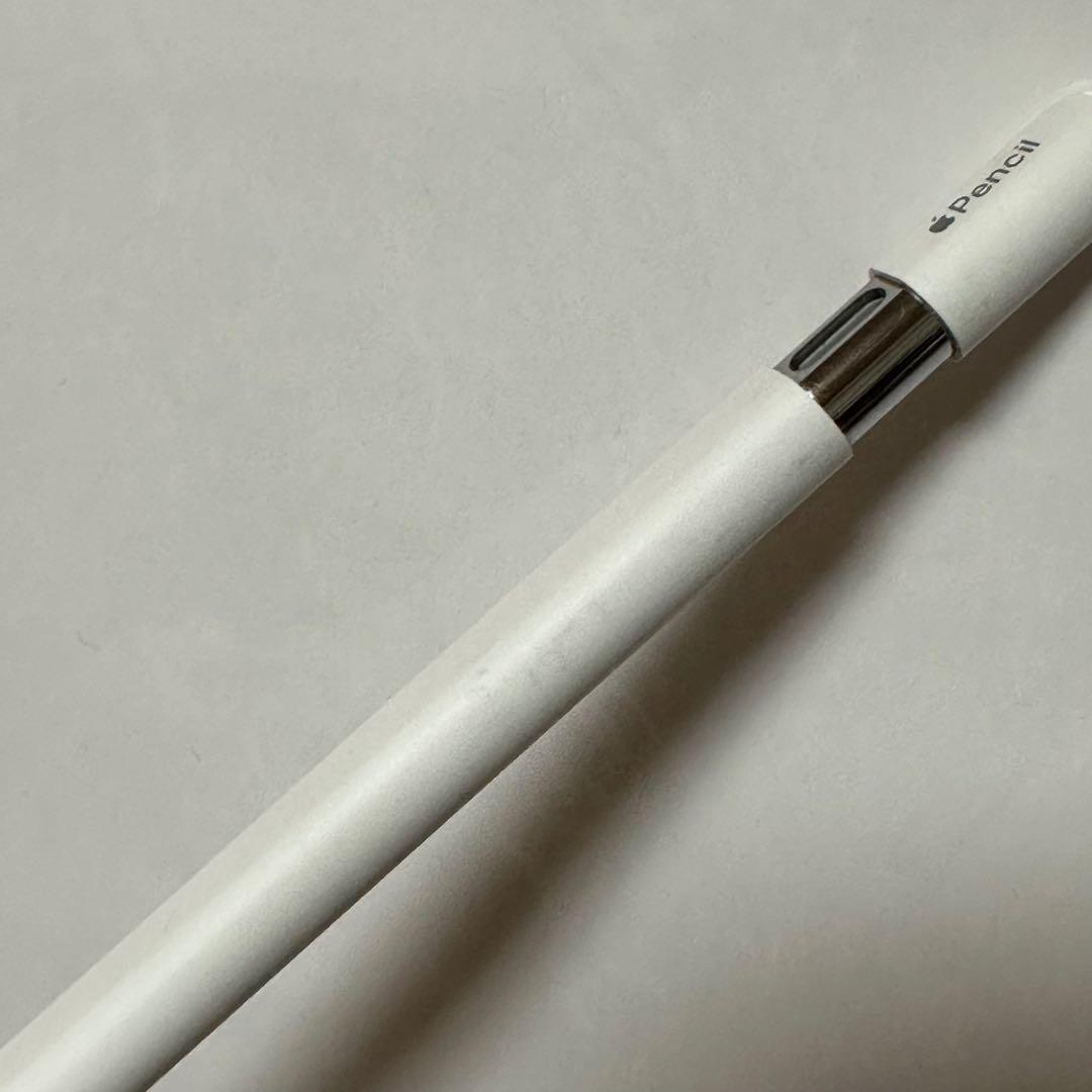 Apple pencil USB-c 本体のみ　アップル　ペンシル